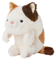 Posture Pal - Daily Charm