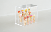Sonny Angel Acrylic Display Case - Desk Ready