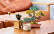 Play Plants Bonsai Puzzles - Collector Choice
