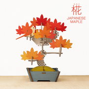 Play Plants Bonsai Puzzles - Modern Accent