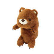 Posture Pal - Daily Charm