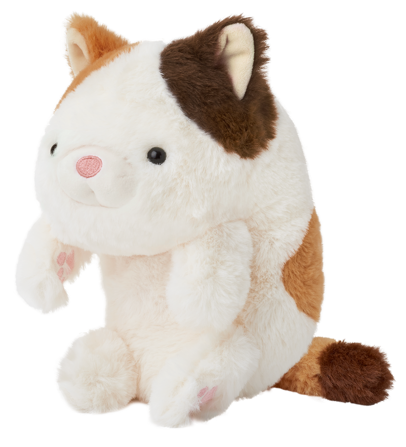 Posture Pal - Daily Charm