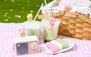 HIPPERS Cherry Blossom Series - Modern Display