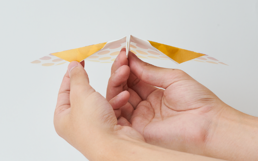 Papillon Origami Airplanes - Desk Display