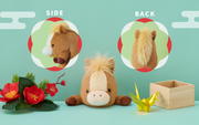 Posture Pal - Blind Box Pick