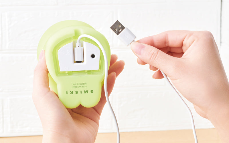 SMISKI Touch Light - Mini Pick