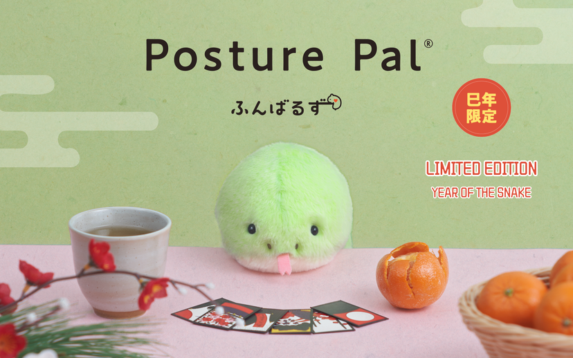Posture Pal - Classic Pick