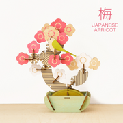 Play Plants Bonsai Puzzles - Daily Charm