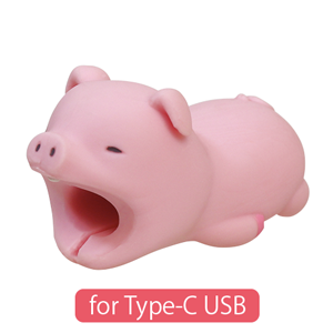 CABLE BITE for Type-C USB - Modern Accent